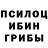 Псилоцибиновые грибы ЛСД Miting Qilamiz