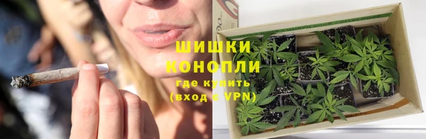 стафф Пестово