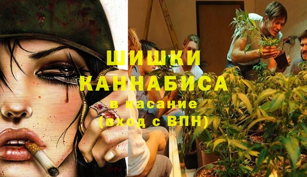 spice Осинники