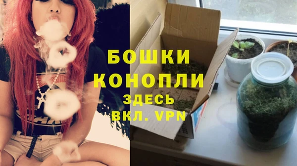 spice Осинники