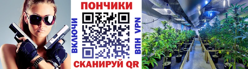 Шишки марихуана конопля  Купить где  Тобольск 